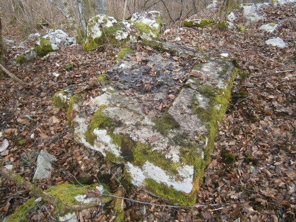 Novootkriveni poklopac sarkofaga iz sela Straža ukazuje da su se neki od sarkofaga izrađenih u kamenolomima na karlovačkom području kao gotovi proizvodi odvozili u antičku Sisciju (Foto: Goran Majetic)
