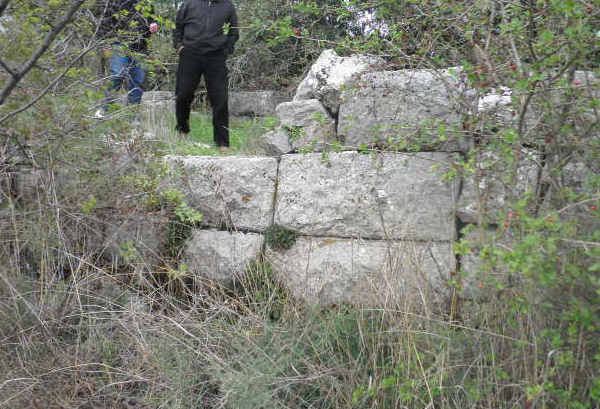 Jugozapadne hramske zidine drevnog Nedinuma; fotografirano 2012. godine, do danas stanje je još i gore zbog nabujalog korova