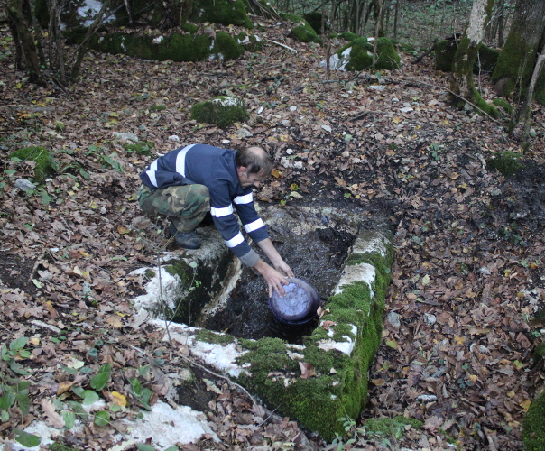 Veliki kameni sanduk, koji je po mišljenju arheologa isklesan kako bi poslužio za izradu grobnice, danas je pojilište za šumske životinje (Foto: Goran Majetić)
