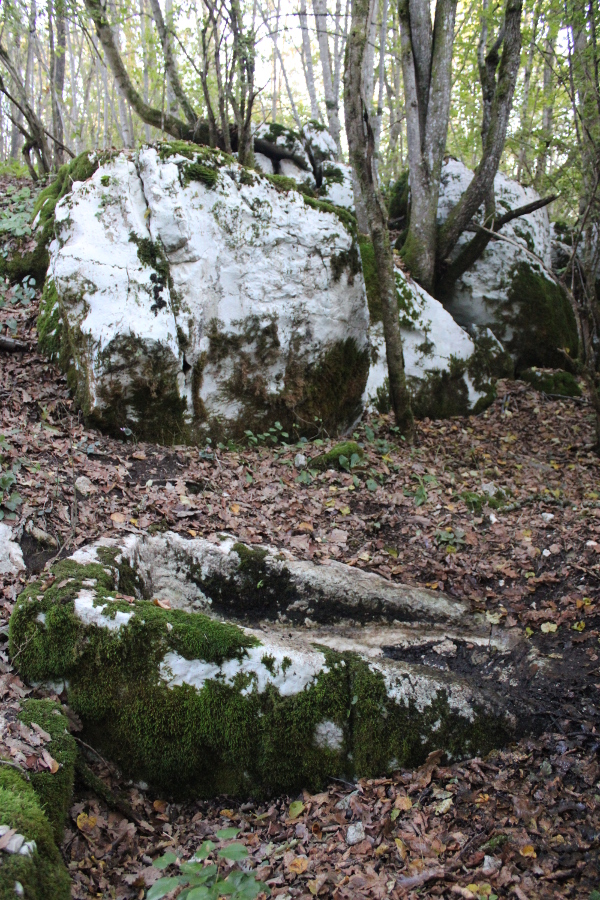 Sanduk je smješten pri dnu šumske ponikve, a izrađen je iz jedne od vapnenačkih stijena - kamenog živca (Foto: Goran Majetić)