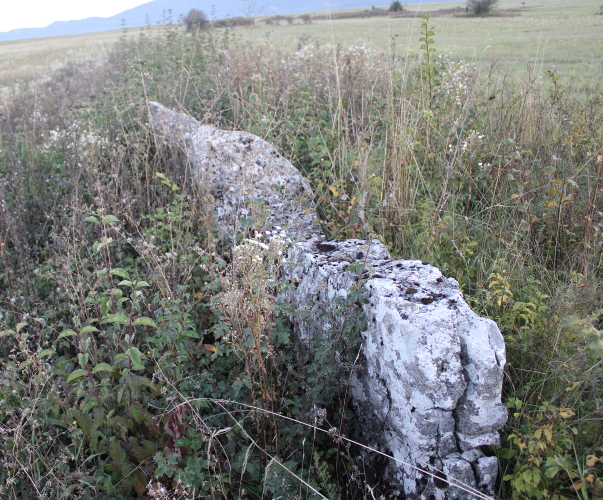 Novouočeni stećci ili nadgrobnice ugrađeni su u poljsku ”ogradu” koja se pruža 50-ak metara istočno od crkvine Sveti Marko (Foto: Goran Majetić)