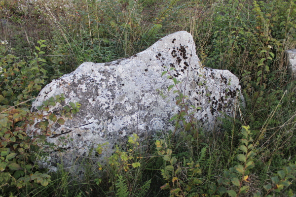 Stećak ili nadgrobnica u ”ogradi” kojoj nedostaje čitav jedan ugao, a večina joj je 170 x 82 x 30 centimetara (Foto: Goran Majetić)