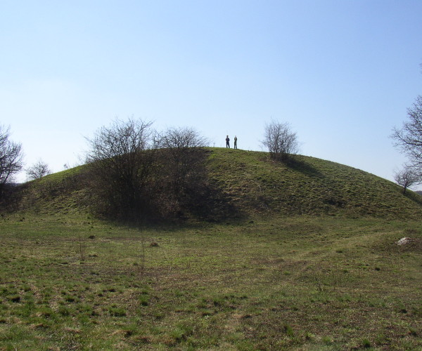 Humak nedaleko Točka Veljunskog visok je oko 6 metara, a dugačak (duža os osnove) oko 40 metara (Foto: Goran Majetić)