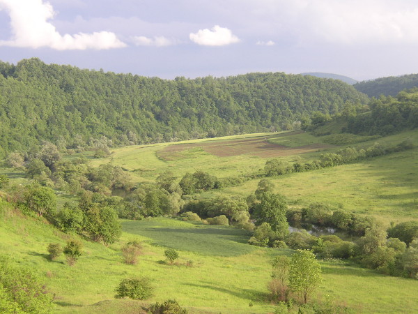 Pogled s humka uzvodno na dolinu Korane (Foto: Goran Majetić)