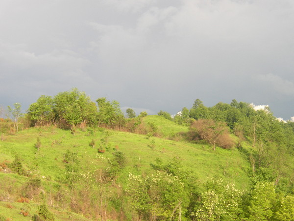 Pogled sa sjevera na humku i blago zakošenu malu zaravan desno (zapadno) od humka na kojoj se prostiralo prapovijesno naselje (Foto: Martina Majetić)