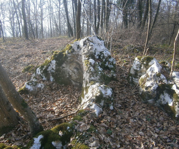 Stijena vapnenca na Vinici iz koje je nekoć davno nesumnjivo isklesan pravougaoni megalit (Foto: Goran Majetić)