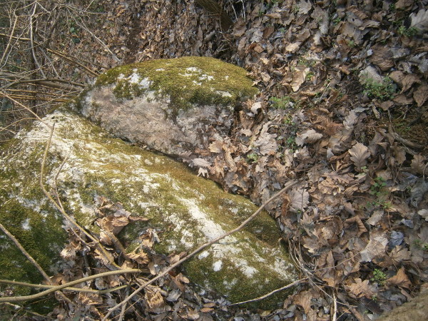 Vinica_kamenolom2.600.jpg Još jedan mogući kamenolom na Vinici, za čiju potvrdu su potrebna dodatna istraživanja (Foto: Goran Majetić)
