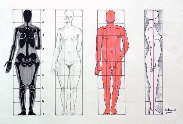 Osnovni omjeri pojednih dijelova ljudskog tijela (Izvor: Wikimedia (wikimedia.org); crtež: Ingeborg Bernhard)