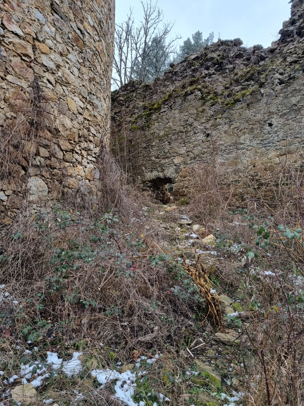 U Gvozdanskom se ne provode arheološki i konzervatorski radovi, a ova slavna srednjovjekovna utvrda i nadalje propada (Foto: Tomislav Beronić)