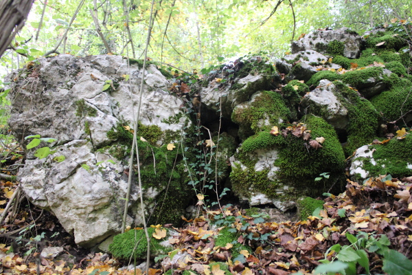 Nekolicina kamenih gromada u sačuvanom dijelu suhozida koji je poput prstena okruživao vršni rub ponikve (Foto: Goran Majetić)