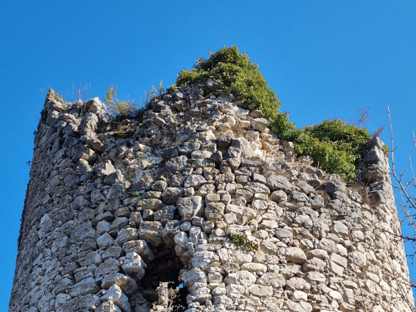 Krova na vrhu kule odavno više nema, no dobro građeni zidovi stoljećima odolijevaju nedaćama (Foto: Tomislav Beronić)