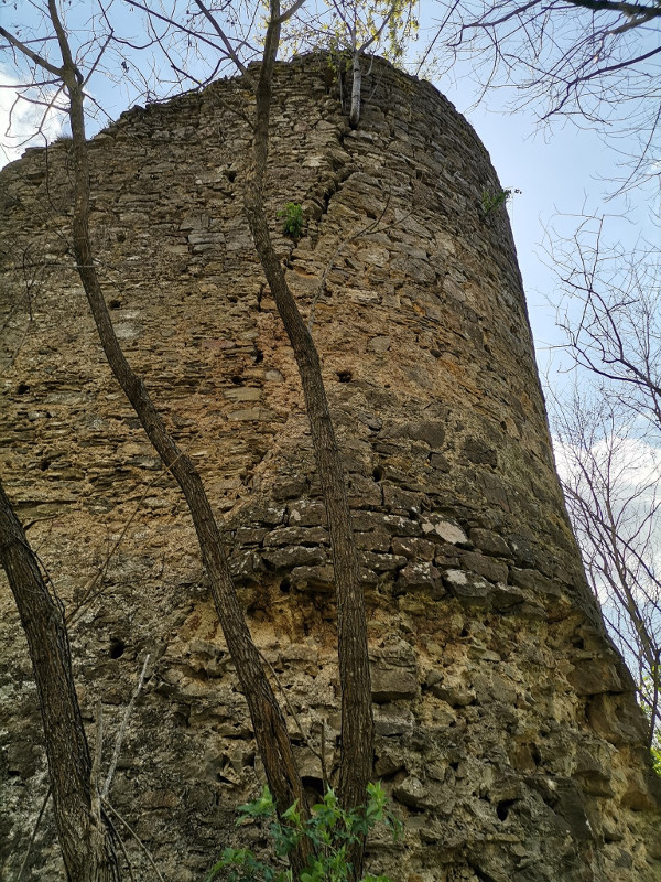 Branič - kula srednjovjekovnog grada Klokoča još zadivljuje visinom i debelim čvrsto građenim zidom (Foto: Tomislav Beronić)