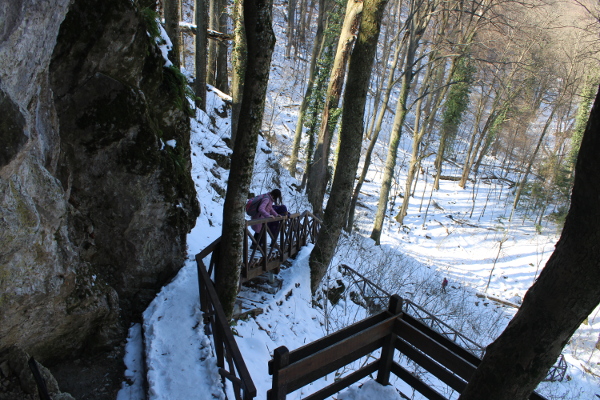 Strmim stubištem do špilja na Jankovcu, za izleta koji smo poduzeli 13. ožujka 2022. godine, valjalo se oprezno uspinjati i silaziti zbog obilja zatečenog snijega i leda (Foto: Goran Majetić)
