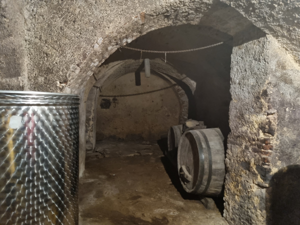 Od prvotnog izgleda Brlog-grada još uvijek je dobro očuvan podrum ispod glavne zgrade, koji danas služi kao vinski podrum (Foto: Tomislav Beronić)