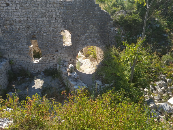 Preko zidova i gomila kamenja niknula je obilna vegetacija, na nekim mjestima neprohodna. (Foto: Tomislav Beronić)