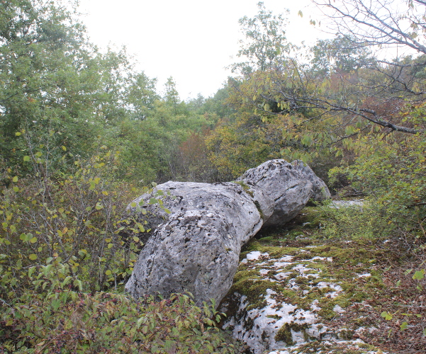 Vilovske grede, gledane sa sjevera, 4 su kamene gromade osovljene na stjenovitu policu, od kojih svaka u prosjeku teži oko 9 tona (Foto: Goran Majetić)