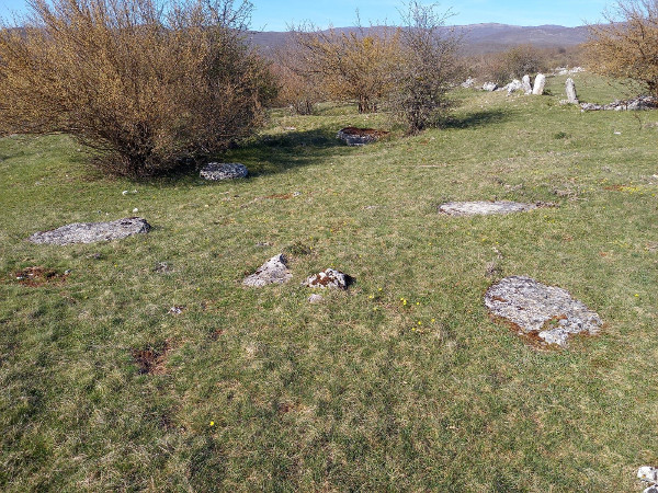 Pogled s juga na stećke na dijelu groblja i u jugozapadnom uglu suhozidne ograde vrebačke Crkvine (Foto: Faruk Islamović)