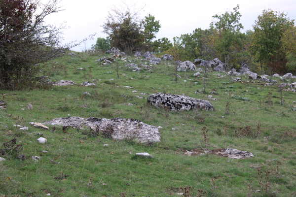 Stećak - sanduk i stećak - ploča na blagoj padini u dijelu groblja jugozapadno od Crkvine (Foto: Goran Majetić)