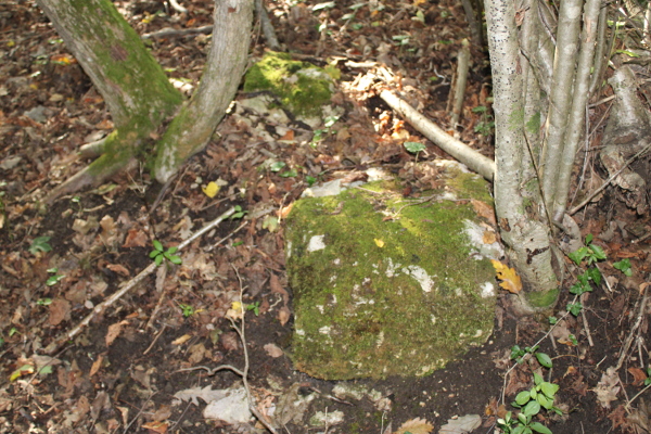 Najveći kamen kojega su slobodni istraživači uočili na Crkvini dugačak je 45 i širok 40 centimetara, dok iznad tla viri u visini od 20 centimetara (Foto: Goran Majetić)