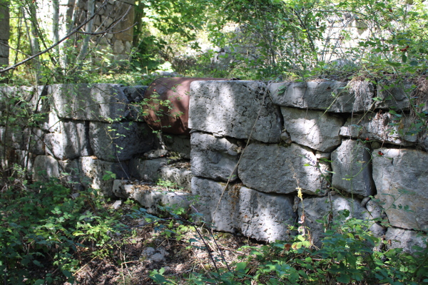 Megalitska gradnja u zaselku Tojagići sve više urasta u šumu i šikaru (Foto: Goran Majetić)