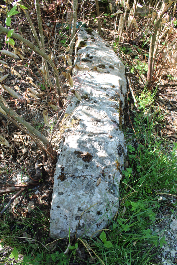 Pretpostavljeni stećak - ploča osovljen je na bok; dugačak je oko 140 i debeo oko 30 centimetara, a širinu mu je nemoguće ustvrditi jer je ukopan u zemlju (Foto: Goran Majetić)