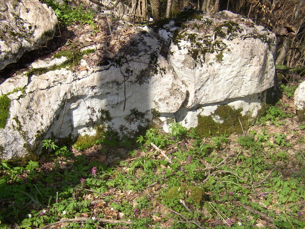 Vapnenačka hrid na Kestenku iz koje je odlomljen poklopac ili sanduk "škrinje" (foto: Goran Majetić, 2008.)