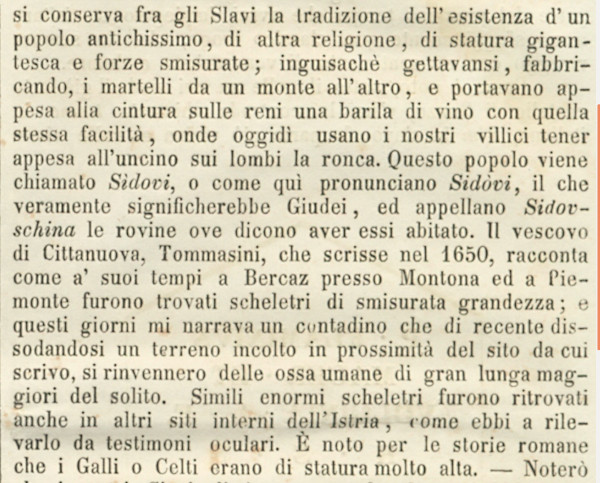 Ulomak iz napisa istarskog povjesničara Carla De Franceschija, objavljenog u tjedniku ”L  Istria”, u kojem piše o nalazima kostiju divova širom Istre (Izvor: ”L  Istria”, godina VII broj 35 od 28. kolovoza 1852.)