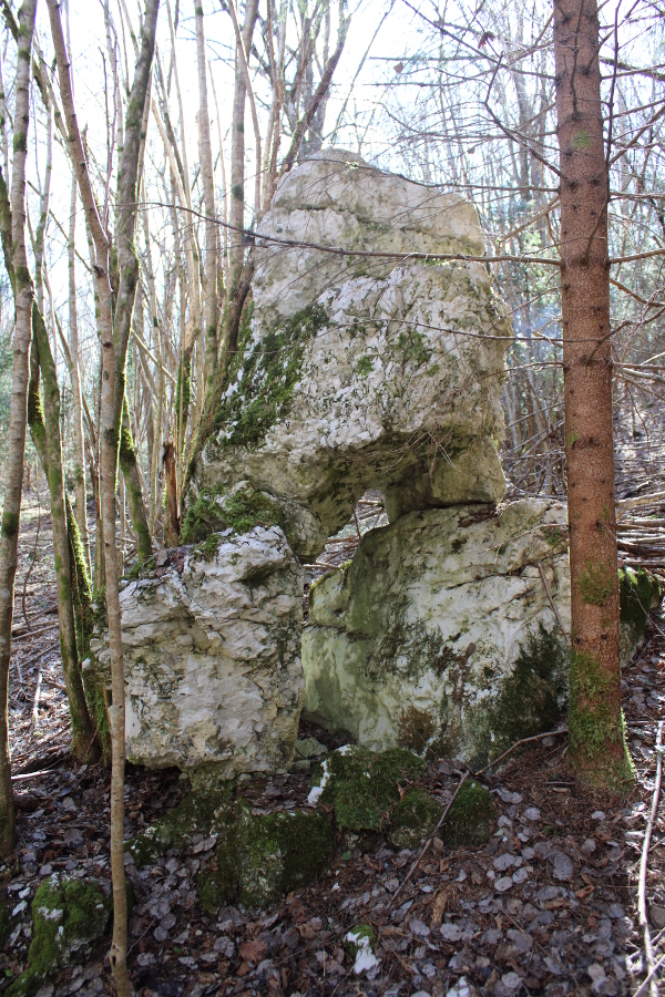 Preko 3 metra visok megalit koji obličjem podsjeća na diva u raskoraku (Foto: Goran Majetić)