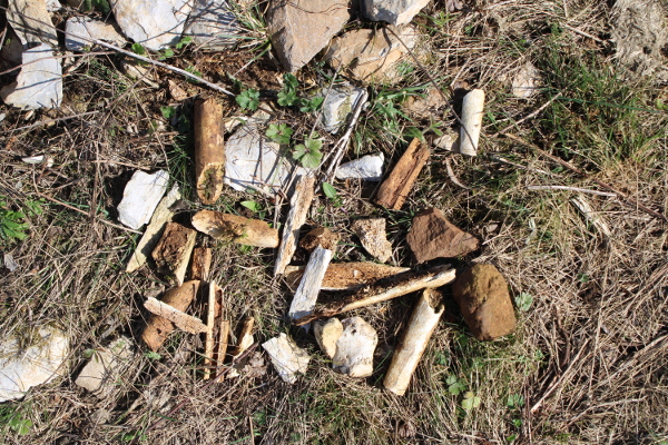 Dio koštanih ostataka nađenih na položaju Grobište ili Rimsko groblje (Foto: Goran Majetić)