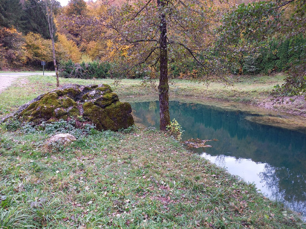 Neobičan kamen pored izvora Bistrac (Foto: Faruk Islamović)