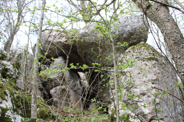 Kameni potpornji Pešunove vage visoki oko 1,8 metara drže ogromnu vapnenačku ploču, dugačku i široku oko 3,5 metara te debelu mjestimice i više od metra (Foto: Lila Majetić)