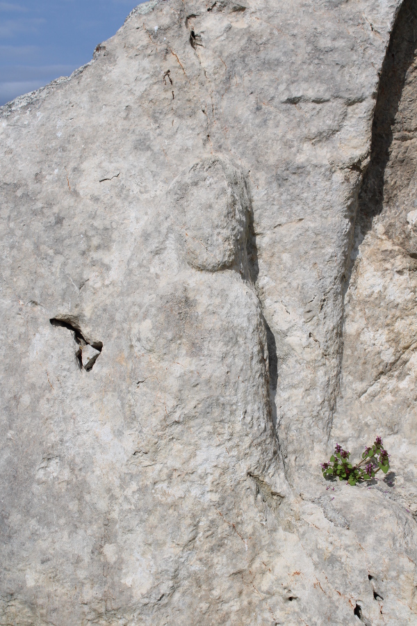 S lijeve strane niše s reljefnim prikazom tauroktonije na stijeni u Čovićima nalazi se i isklesan lik nepoznate osobe (Foto: Noa Majetić)