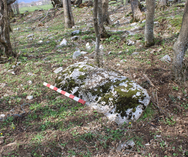 Na Crkvini u ličkom selu Turjanski sačuvana je još samo jedna nadgrobnica - stećak (Foto: Noa Majetić)