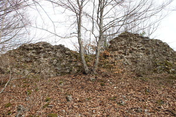 Ruševni ostaci srednjovjekovnog utvrđenog grada Turan, poznatog i kao Trojan grad (Foto: Noa Majetić)