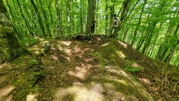 Mrsinj: vrh srednje gradine; prema Martini i Goranu možete procijeniti dimenzije. S lijeve strane se vidi položaj sjevernog prapovijesnog naselja na kojemu se na površini šumskog tla nalaze ostaci keramike. (Foto: Tomislav Beronić)