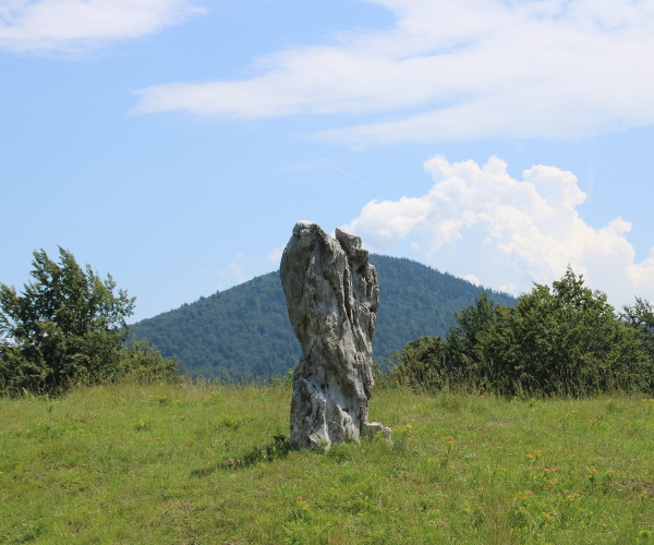 Najviši i najistaknutiji od 3 uspravna kamena u Javorovici visok je puna dva metra (Foto: Goran Majetić)