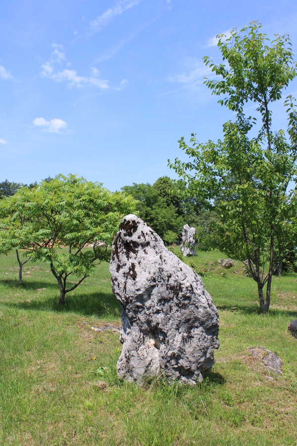 Preostala dva kamena stupa u Javorovici gledana s južne strane (Foto: Lila Majetić)
