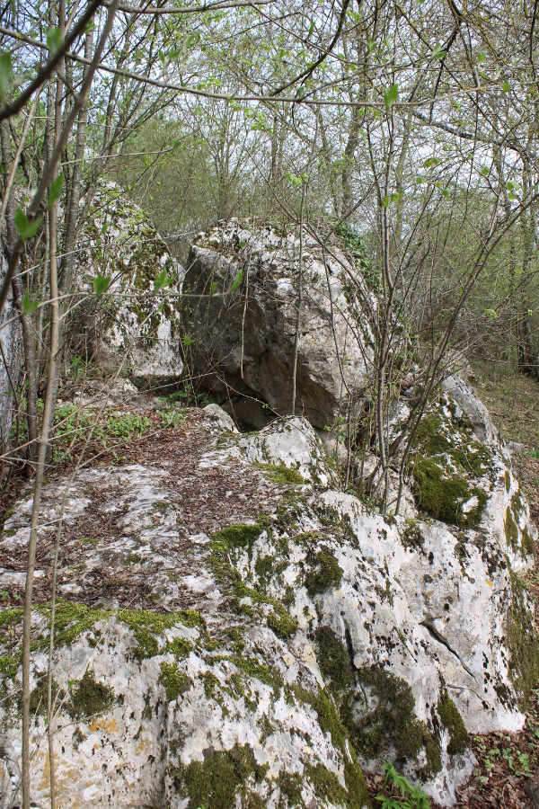 Je li kamena polica u podnožju Pešunove vage oblikovana klesanjem? (Foto: Noa Majetić)
