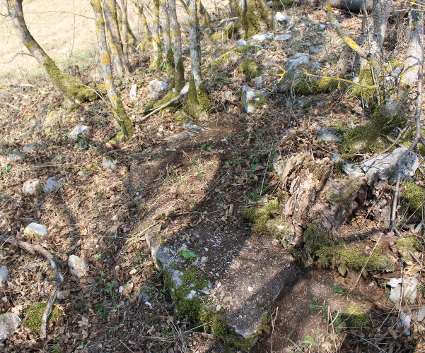 Pogled s jugoistočne strane na utonulu i oštećenu veliku kamenu ploču na crkvini u selu Jošane; ostatak prilazne stube crkvi ili nadgrobnice - stećka? (Foto: Goran Majetić)