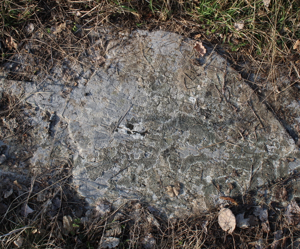Isklesani znamen s natpisom na nadgrobnici s groblja u Kozjanu (Foto: Goran Majetić, 2022.)