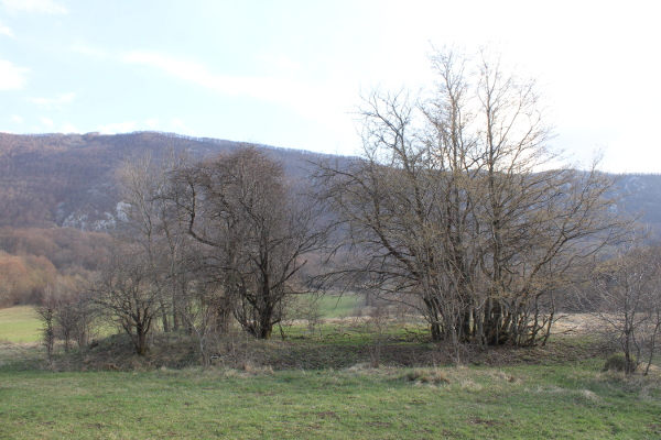 Pogled od dolinske ceste na groblje smješteno podno zaselka Hinići (Foto: Goran Majetić, 2022.)