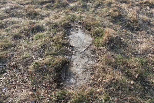 Jedina kamena nadgrobnica koja se još nazire na istome groblju (Foto: Goran Majetić, 2022.)