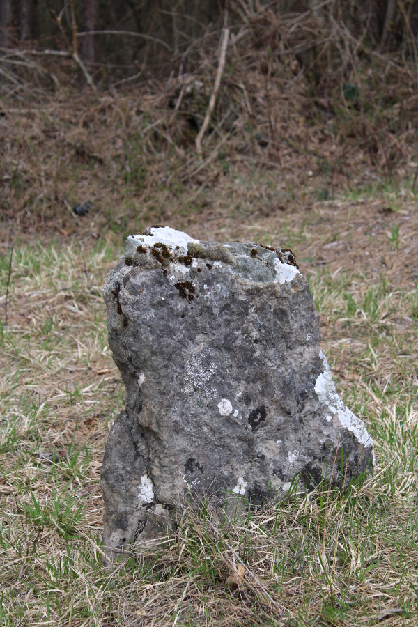 Na groblju u Kunovcu Kupirovačkom nedaleko Srba sačuvane su, visinom omanje, tri uspravne kamene nadgrobnice (Foto: Lila Majetić, 2023.)