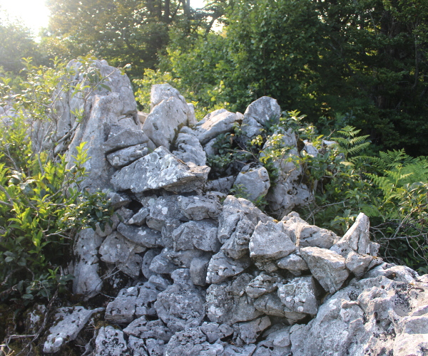 Ostaci kamenog suhozida uzduž sjevernog dijela bedema prapovijesne gradine na ličkoj gori Baćinovac (Foto: Goran Majetić)