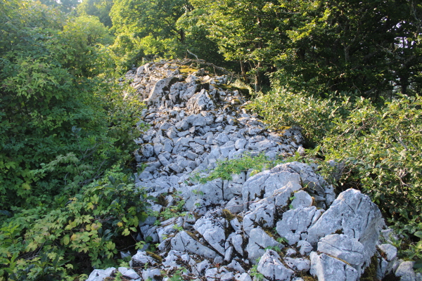 Dio gradinskoga bedema sa sjeverne strane baćinovaćkog vrha (Foto: Goran Majetić)