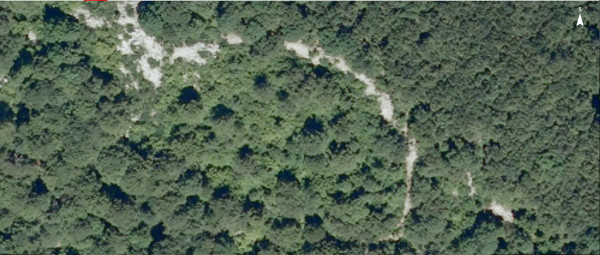 Pogled na sjeverni bedem Gradine iz zraka, prema zračnoj snimci iz 2014. godine (Izvor: Geoportal (geoportal.dgu.hr))