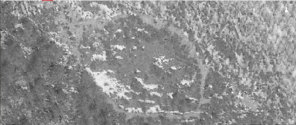 Na zračnoj snimci iz 1968. godine još se dobro uočava elipsasti oblik Gradine, u manjoj mjeri zarasle u šumu nego li što je danas (Izvor: Geoportal (geoportal.dgu.hr))