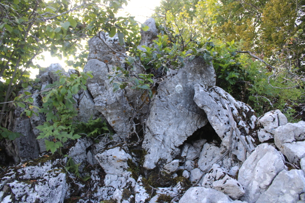 Još jedna dionica megalitskog suhozida na sjevernom bedemu Gradine, gdje su prožimaju prirodne vapnenačke hridi i ogromni kameni ulomci naslagani između njih (Foto: Goran Majetić)