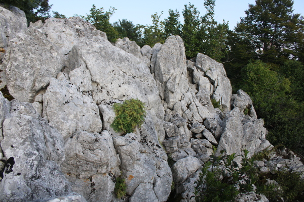Sa sjeverozapadne strane Gradinu je štitila litica visoka i do 20-ak metara (Foto: Goran Majetić)