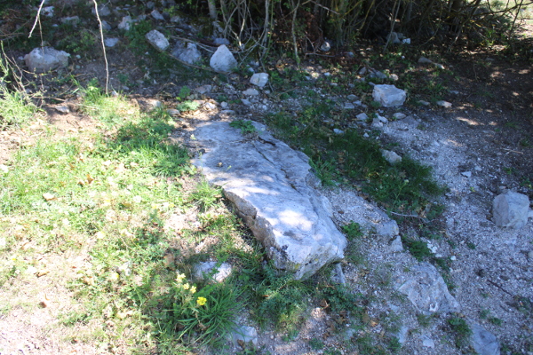 Velika kamena ploča uz južni rub nekadašnjeg groblja, za koju se bez dodatnih istraživanja ne može sa sigurnošću ustvrditi radi li se također o grobnoj ”poklopnici” (Foto: Goran Majetić)